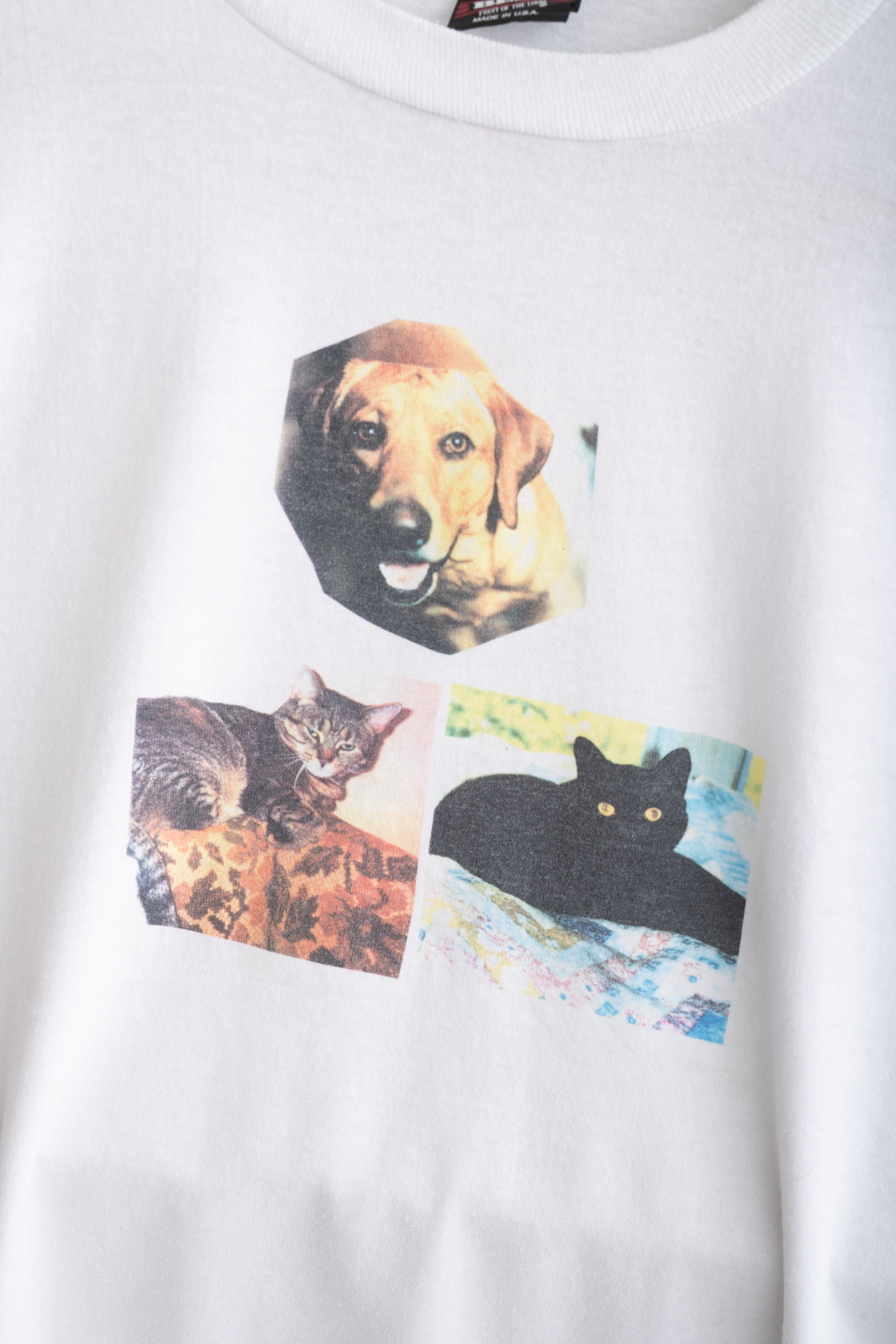 90S MADE IN USA PET T-SHIRT (FRUIT OF THE LOOM)