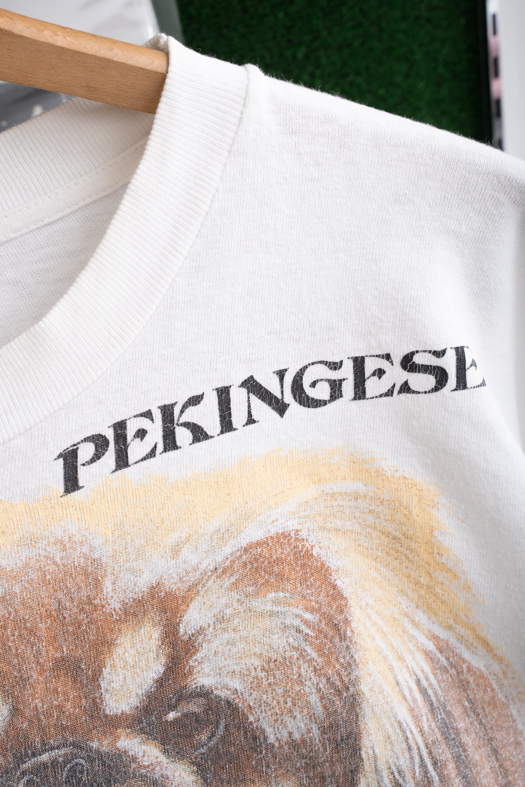 90S PEKINGESE T-SHIRT (SOLAR-T)